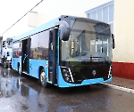 Автобус МАЗ 206