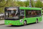 Автобус МАЗ 206