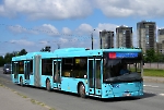 МАЗ-216