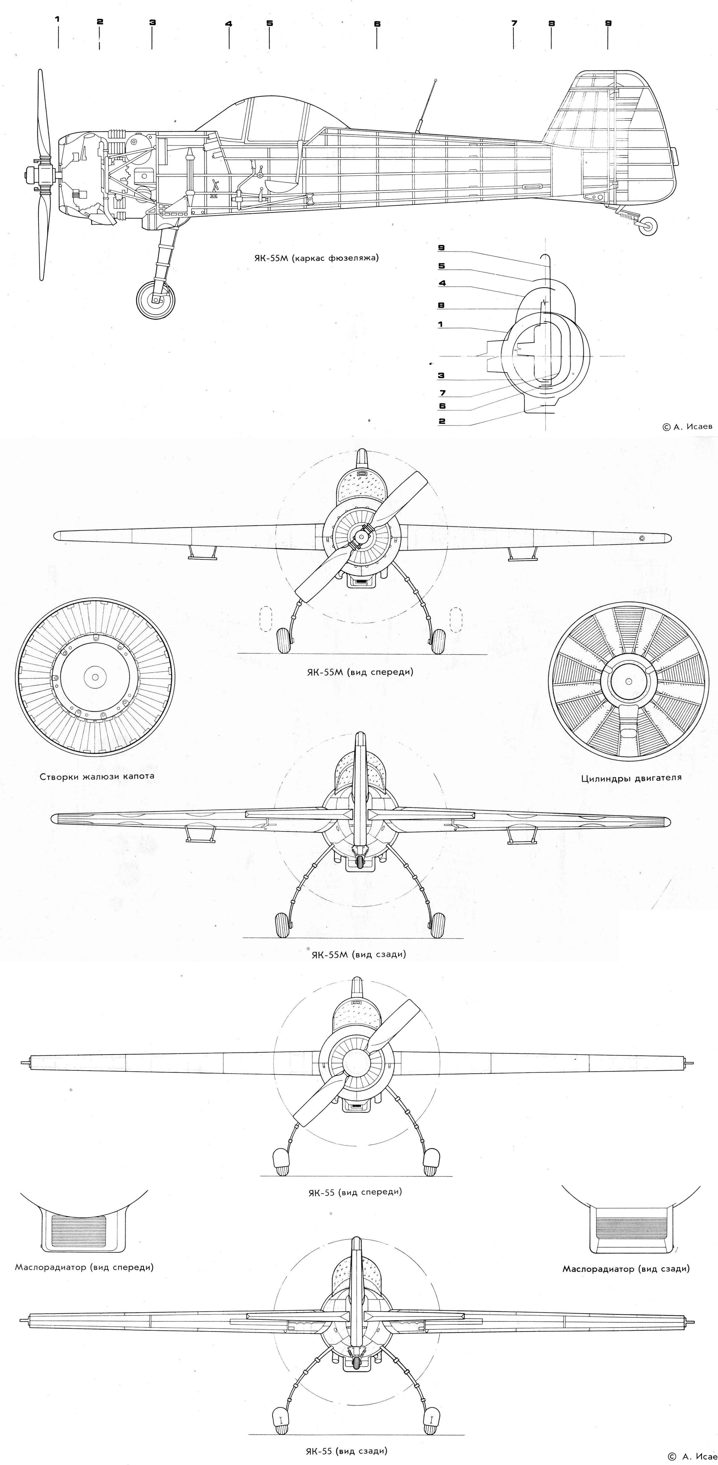 Чертеж Як-55