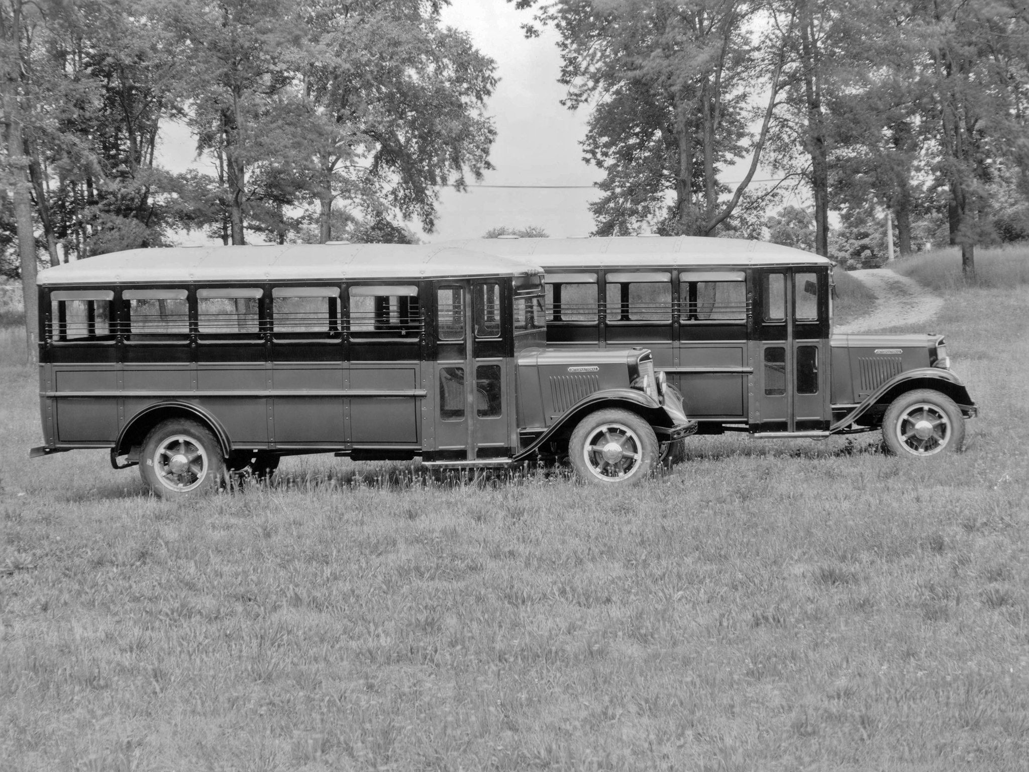 Автобусы International C-30