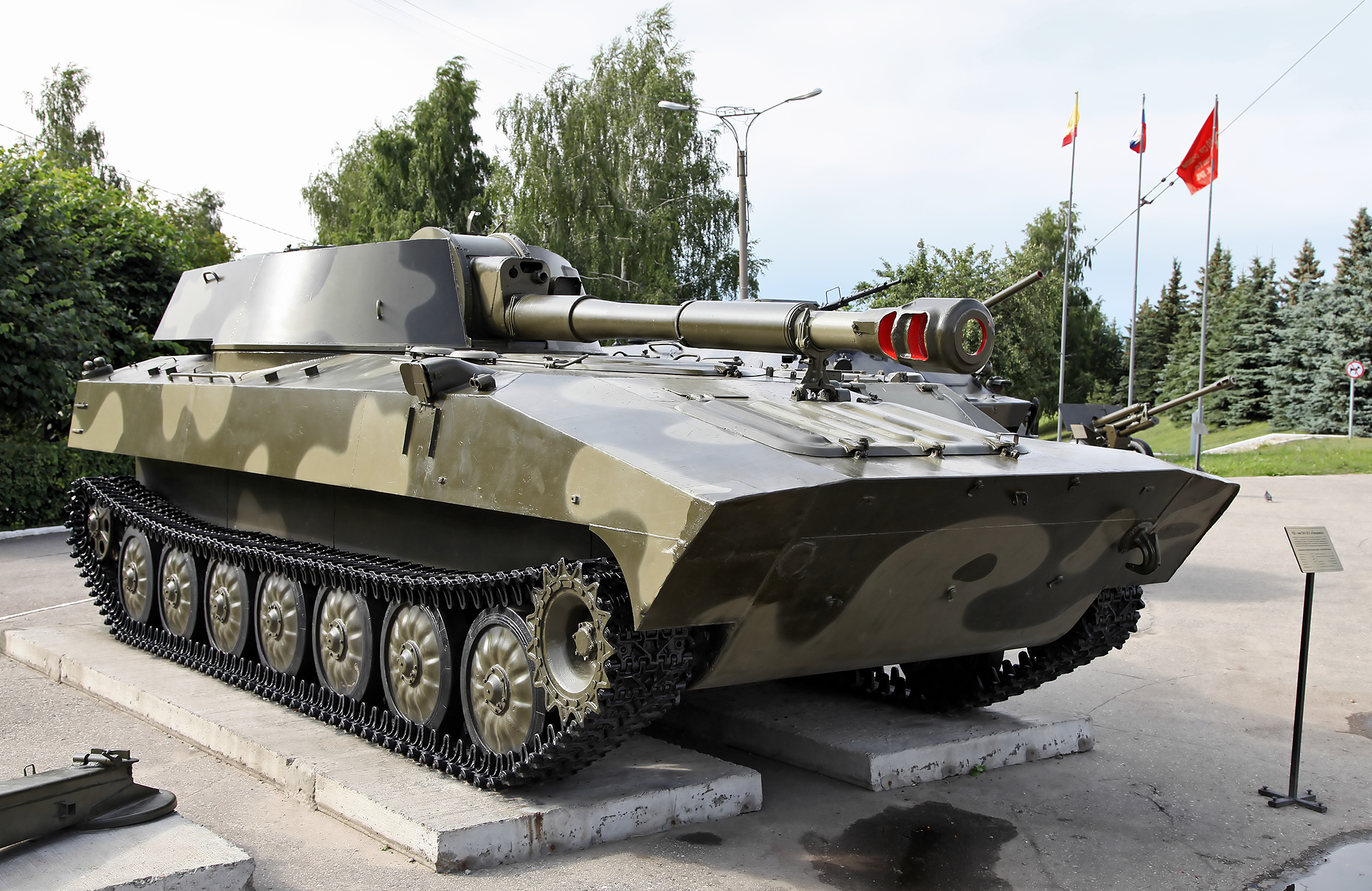 2С1 Гвоздика