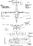 Чертеж Cessna 172F Skyhawk