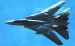 Grumman F-14