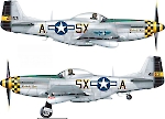 Силуэт North American P-51K-5-NT MUSTANG