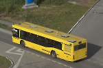 Автобус МАЗ-103
