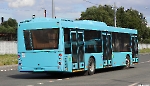 Автобус МАЗ 203