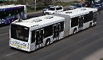 Автобус МАЗ-216