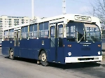 Ikarus-194