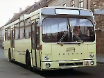 Ikarus-194