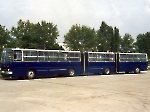 Ikarus-293