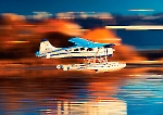 Самолет de Havilland Canada DHC-3