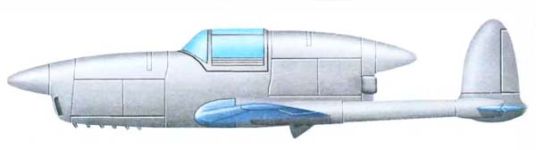 Силуэт истребителя САМ-13