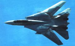 Палубный многоцелевой истребитель Grumman F-14 Tomcat