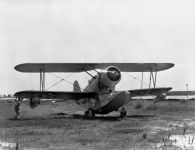 Grumman JF-1 Duck