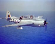 Grumman TBM-3S