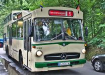 Mercedes-Benz O 317 Anderthalbdecker
