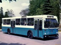 Автобус Ikarus-194